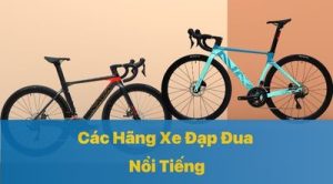 Các Hãng Xe Đạp Đua Nổi Tiếng