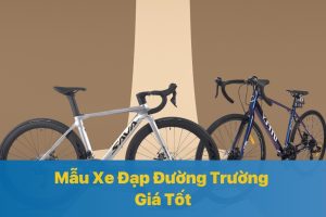 Mẫu Xe Đạp Đường Trường Giá Tốt Nhất