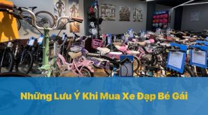 Những Lưu Ý Khi Mua Xe Đạp Bé Gái