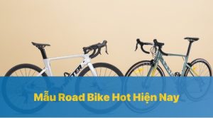 Road Bike là gì? Top 5 Xe Đạp Đua Hot Nhất Hiện Nay