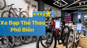 So Sánh 4 Dòng Xe Đạp Thể Thao Phổ Biến Nhất