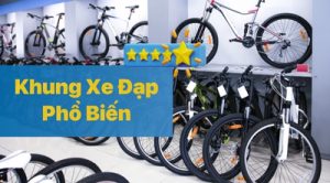 Top 3 Khung Xe Đạp Phổ Biến Tại Việt Nam