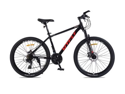 Xe Đạp Địa Hình MTB DTFLY B100 24 Inch