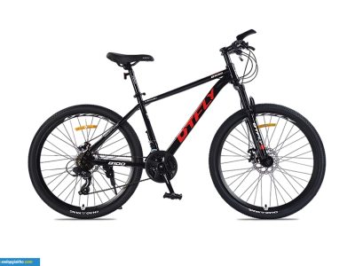 Xe Đạp Địa Hình MTB DTFLY B100 24 Inch