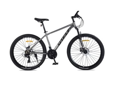 Xe Đạp Địa Hình MTB DTFLY B100 26 Inch