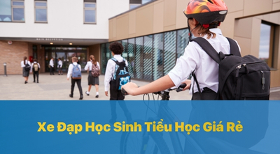 Hướng Dẫn Chọn Mua Xe Đạp Học Sinh Tiểu Học Giá Rẻ Chính Hãng