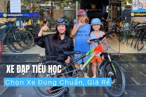 Xe Đạp Tiểu Học Hướng Dẫn Chọn Xe Đúng Chuẩn, Giá Rẻ