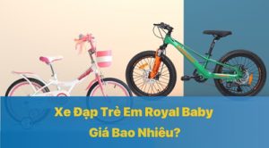 Xe Đạp Trẻ Em Royal Baby Giá Bao Nhiêu?