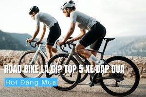 Road Bike Là Gì? Top 5 Xe Đạp Đua Hot Đáng Mua 7 Road bike là gì? Top 5 xe đạp đua hot đáng mua