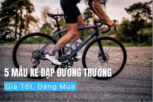 5 Mẫu Xe Đạp Đường Trường Giá Tốt, Đáng Mua 3 5 mau xe dap duong truong gia tot dang mua