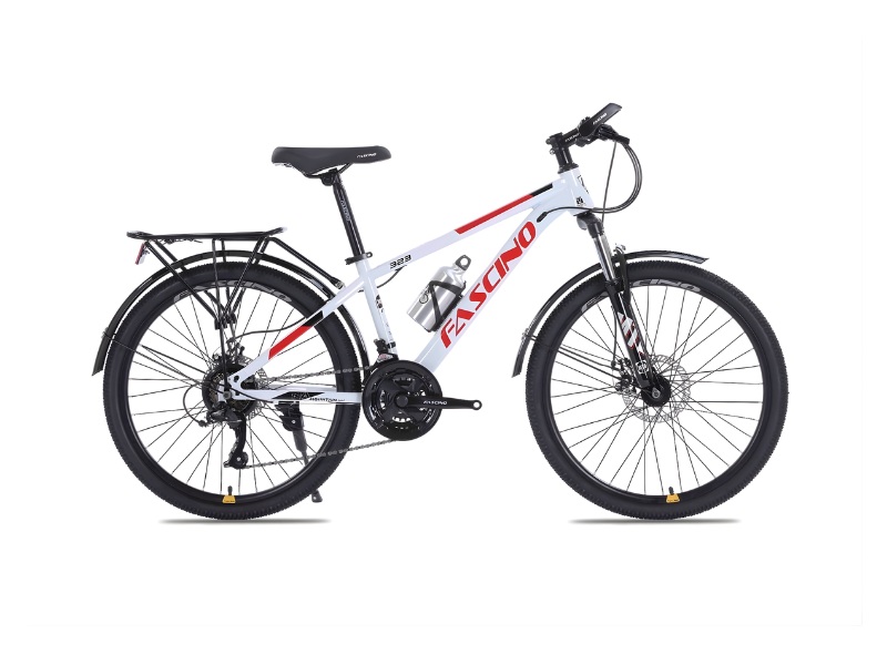 Xe Đạp MTB là gì? Các Mẫu Xe Đạp MTB Bán Chạy 9 Xe Đạp Địa Hình Fascino F323 - 24 Inch phanh đĩa