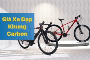 Xe Đạp Khung Carbon Giá Bao Nhiêu?