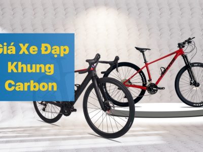 Xe Đạp Khung Carbon Giá Bao Nhiêu?