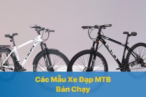 Xe Đạp MTB là gì? Các Mẫu Xe Đạp MTB Bán Chạy