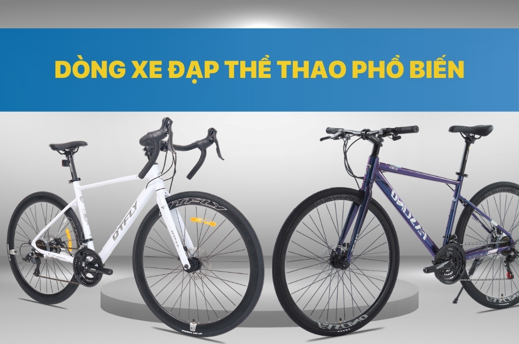 5 Dòng xe đạp thể thao phổ biến trên thị trường