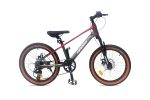 Xe Đạp Địa Hình MTB Trẻ Em Miamor Thunder