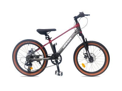 Xe Đạp Địa Hình MTB Trẻ Em Miamor Thunder