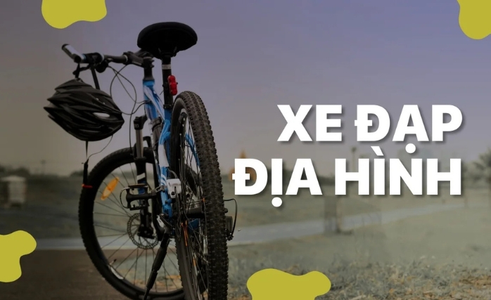 banner xe đạp địa hình