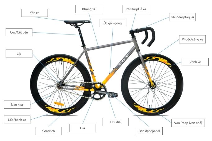 Xe Đạp Giá Kho – Nguồn Xe Đạp Nhập Khẩu Lớn Nhất Việt Nam