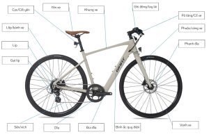 Việc biết cách nhận diện xe đạp điện Giant chính hãng giúp bạn có trải nghiệm đi xe tốt hơn