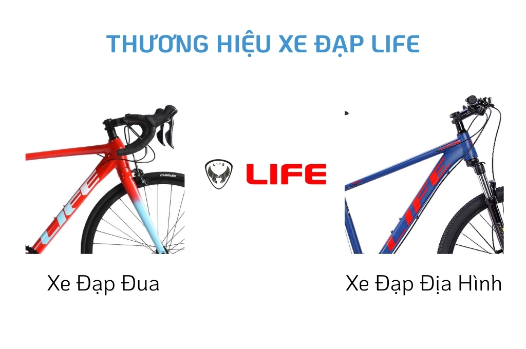 Thương hiệu xe đạp Life được đánh giá cao trên thị trường hiện nay