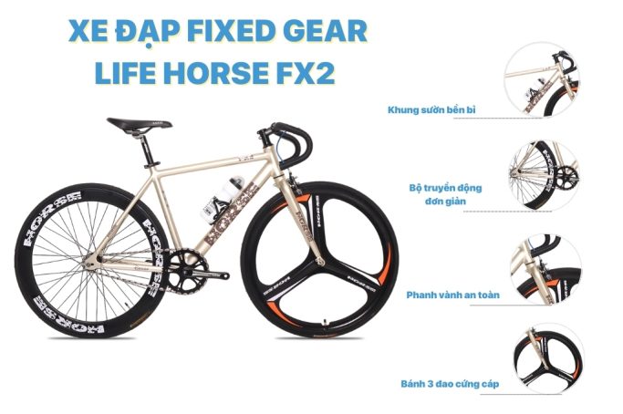 Xe Đạp Giá Kho – Nguồn Xe Đạp Nhập Khẩu Lớn Nhất Việt Nam