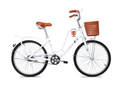 Top những mẫu xe đạp mini cho người lớn