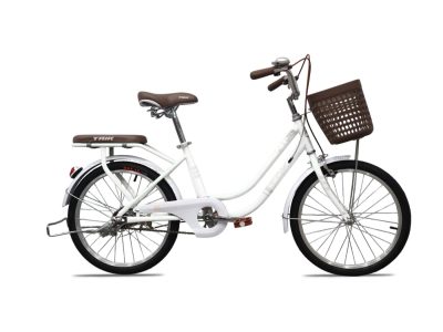 Xe đạp trẻ em bé gái Taik 22 Inch