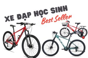 Những Mẫu Xe Đạp Học Sinh Được Yêu Thích Nhất