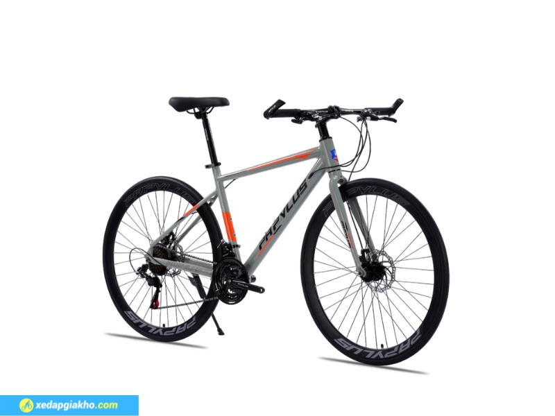 Xe Đạp Touring Papylus PT600 - Khung Nhôm 14 Lốp xe đạp Touring Papylus PT600 trang bị NYLON 700x28C