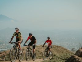 xe đạp địa hình