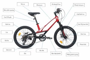 Xe đạp địa hình dành cho những bạn thích khám phá