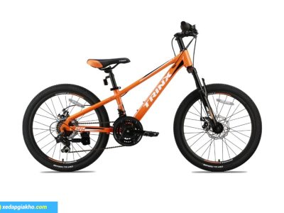 Mau cam Xe Dap Tre Em Be Trai Trinx GT20 20 Inch mau den do