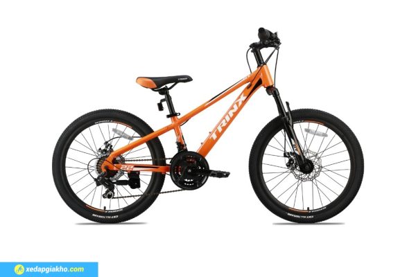 Mau cam Xe Dap Tre Em Be Trai Trinx GT20 20 Inch mau den do