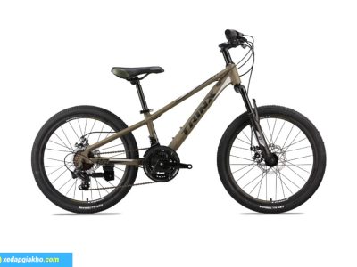 Nau den Xe Dap Tre Em Be Trai Trinx GT20 20 Inc