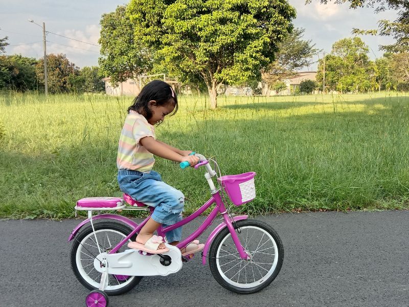 Gợi Ý Mẫu Xe Đạp 4 Bánh Cho Bé Giá Rẻ, An Toàn 7 Chọn mẫu xe đạp 4 bánh phù hợp giúp bé đạp xe khỏe hơn