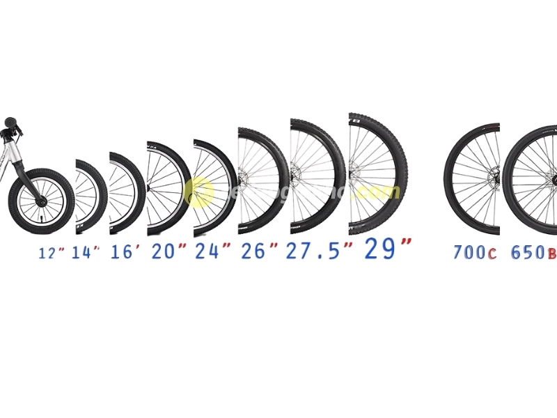 Mountain Bike Là Gì Và Nó Khác Gì So Với Xe Đạp Thông Thường? 8 Bảng kích thước lốp xe đap phổ biến ở Việt Nam