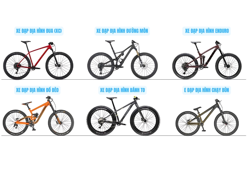 Mountain Bike Là Gì Và Nó Khác Gì So Với Xe Đạp Thông Thường? 10 Các loại xe đạp địa hình và đặc điểm sử dụng