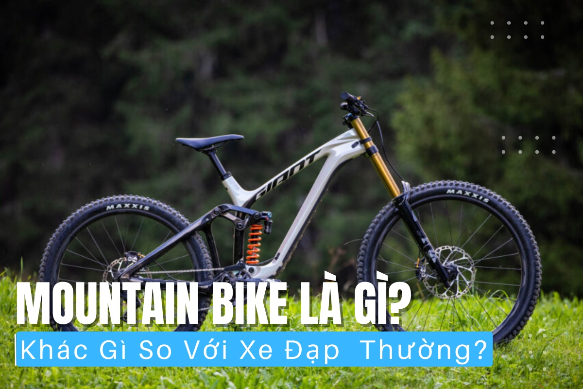 Dòng xe Mountain bike là gì?
