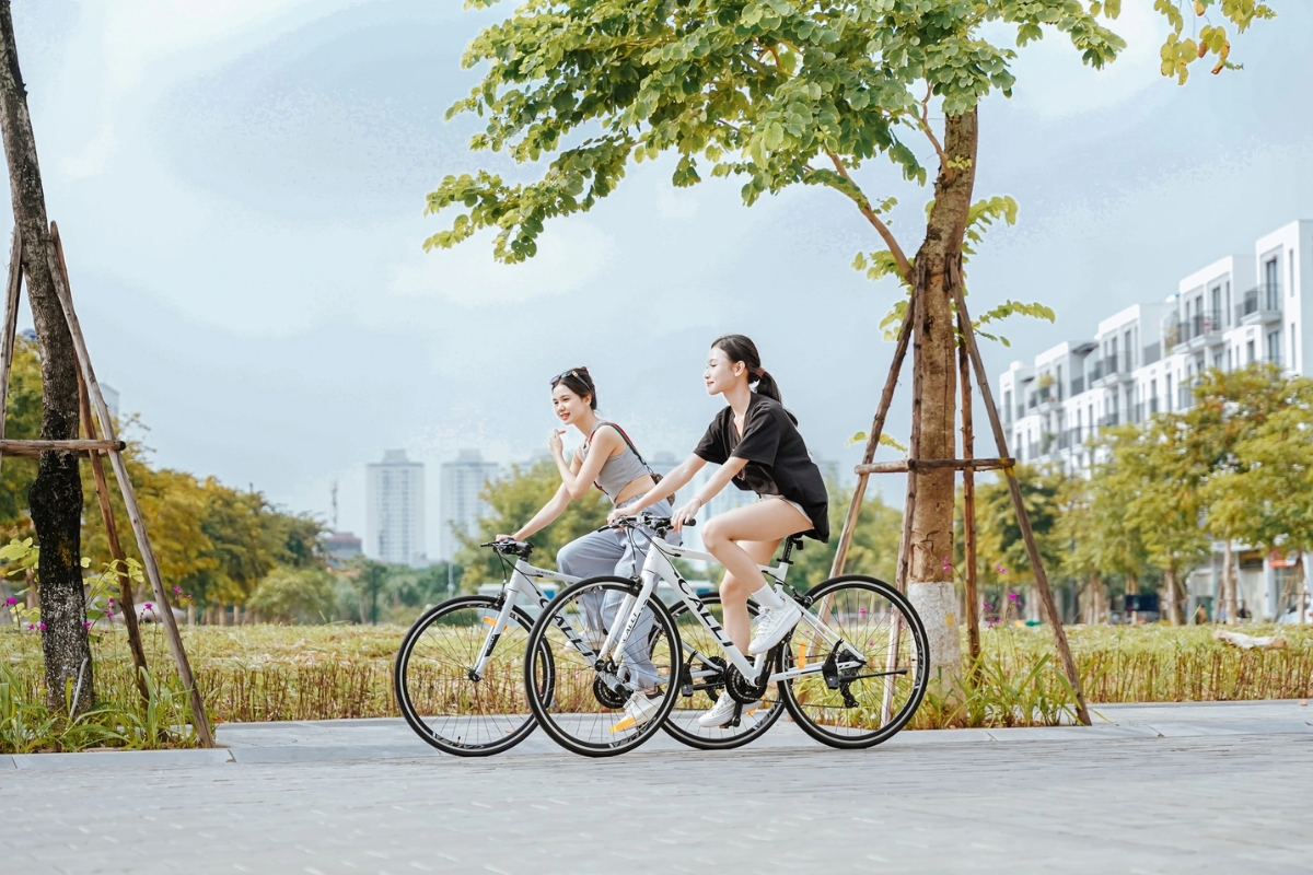 Giá xe đạp học sinh được cập nhập liên tục