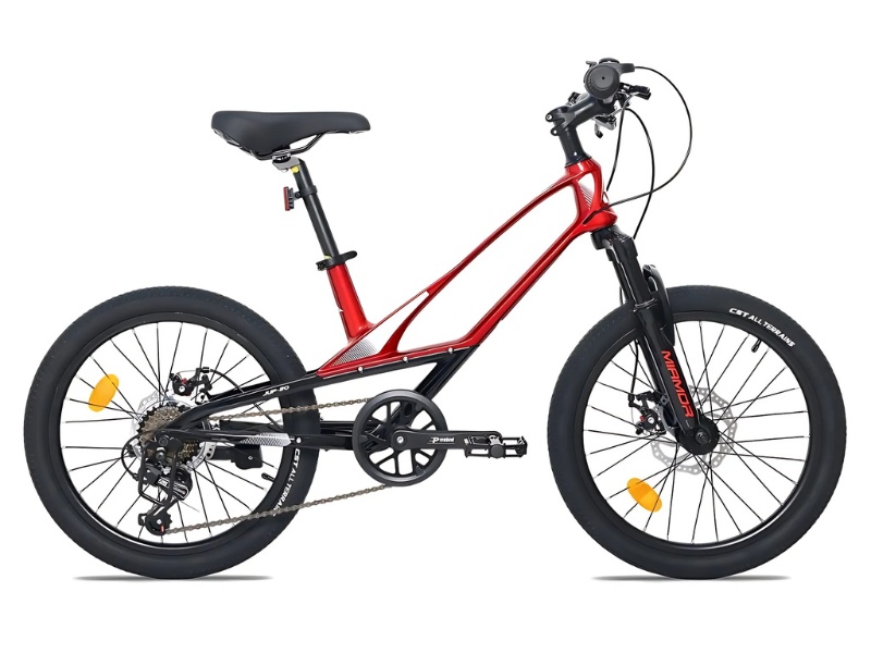 Học Sinh Cấp 2 Được Đi Xe Gì? 5 Mẫu Xe Dưới 5 Triệu 28 Học sinh cấp 2 được đi xe gì? Chọn xe phù hợp