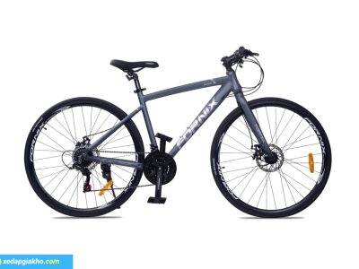 Xe Đạp Touring Fornix FR200 Plus màu ghi