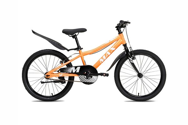 Xe Đạp Trẻ Em Bé Trai Max Bike Chubby 1 20 Inch