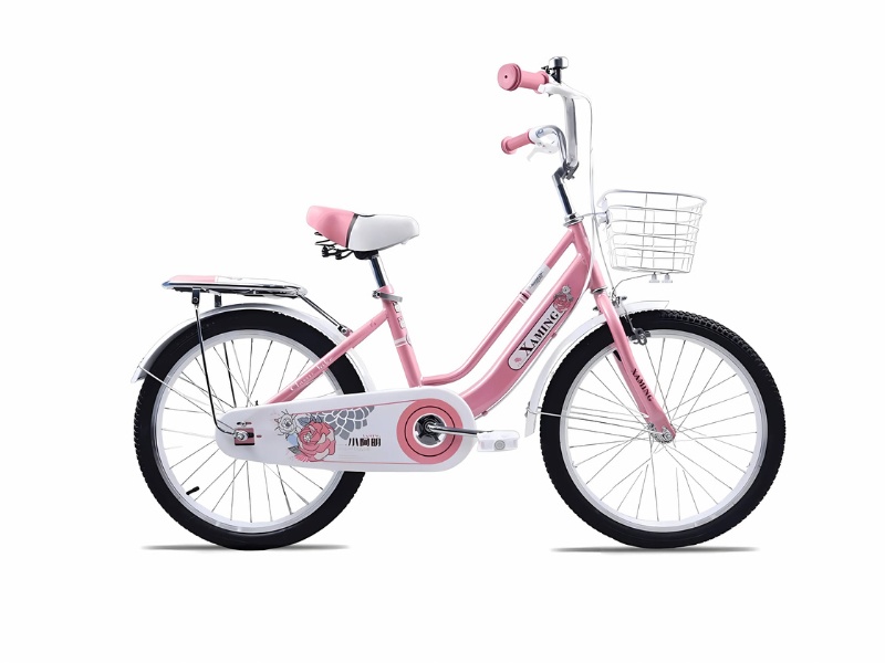 Top Mẫu Xe Đạp Màu Hồng Dễ Thương Khiến Bé Gái Mê Tít 6 Xe đạp trẻ em Xaming nữ 2 gióng 20 Inch bền bỉ, sử dụng lâu dài cho bé gái