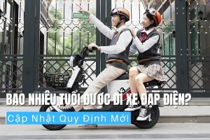 Bao Nhiêu Tuổi Được Đi Xe Đạp Điện Cập Nhật Quy Định Mới