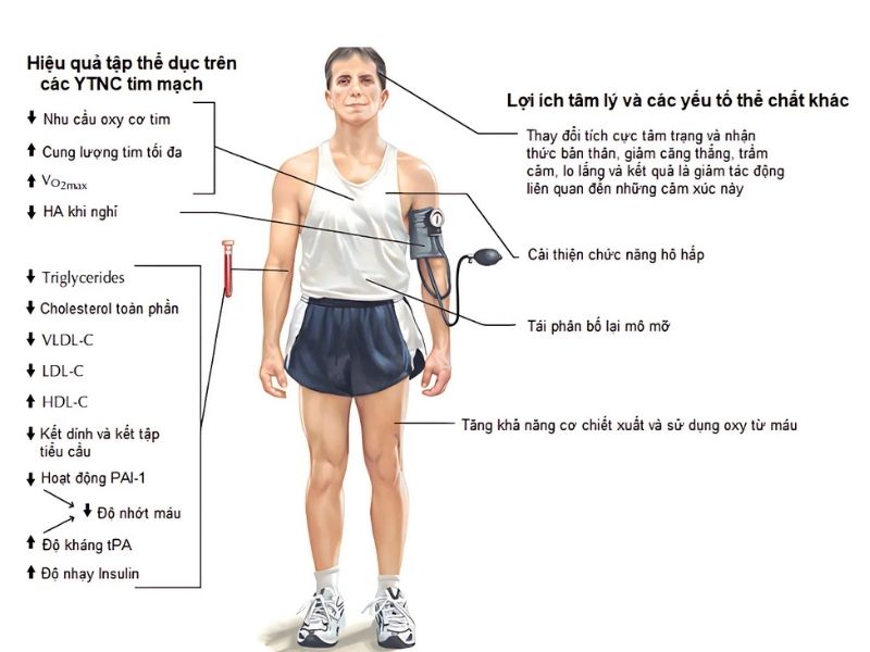 3 Môn Phối Hợp Là Gì? Cần Chuẩn Bị Gì Nếu Mới Bắt Đầu 6 Luyện tập thể thao giúp cải thiện sức khỏe