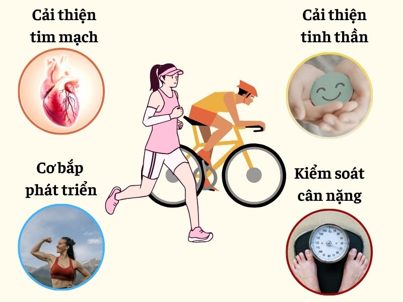 3 Môn Phối Hợp Là Gì? Cần Chuẩn Bị Gì Nếu Mới Bắt Đầu 7 Một số lợi ích thường thấy khi bắt đầu luyện tập