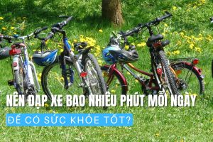Nên Đạp Xe Bao Nhiêu Phút Mỗi Ngày Để Có Sức Khỏe Tốt ?