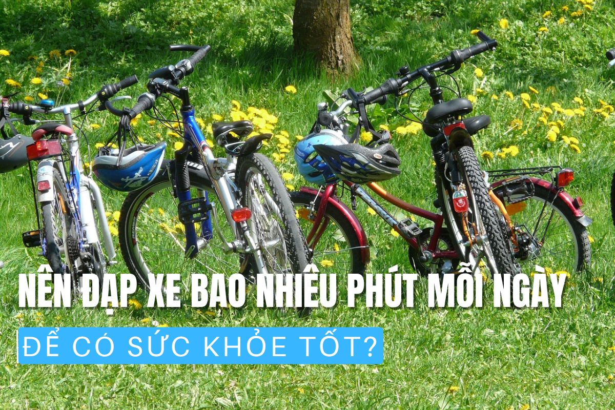 Nên Đạp Xe Bao Nhiêu Phút Mỗi Ngày Để Có Sức Khỏe Tốt ?
