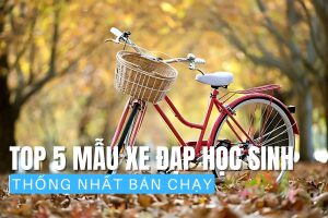 Top 5 mẫu xe đạp học sinh Thống Nhất bán chạy